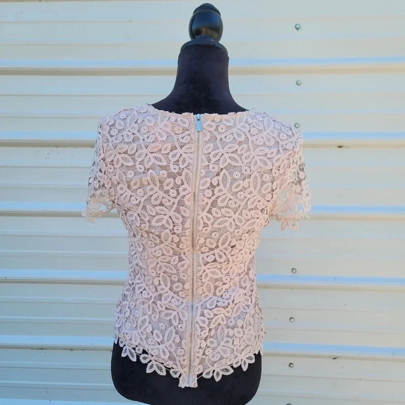 Catherine Malandrino Blush Pink Crochet LACE Tank Top Blouse Cotton Zip S - Picture 3 of 7